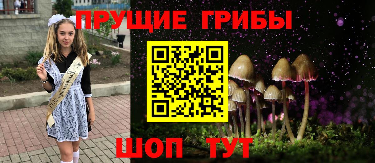 Галлюциногенные грибы Psilocybe  хочу наркоту  Вход с VPN  Канаш  Псилоцибиновые грибы прущие грибы 