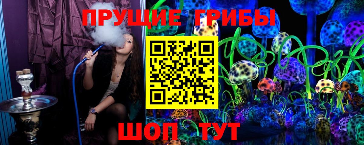 Псилоцибиновые грибы прущие грибы Канаш