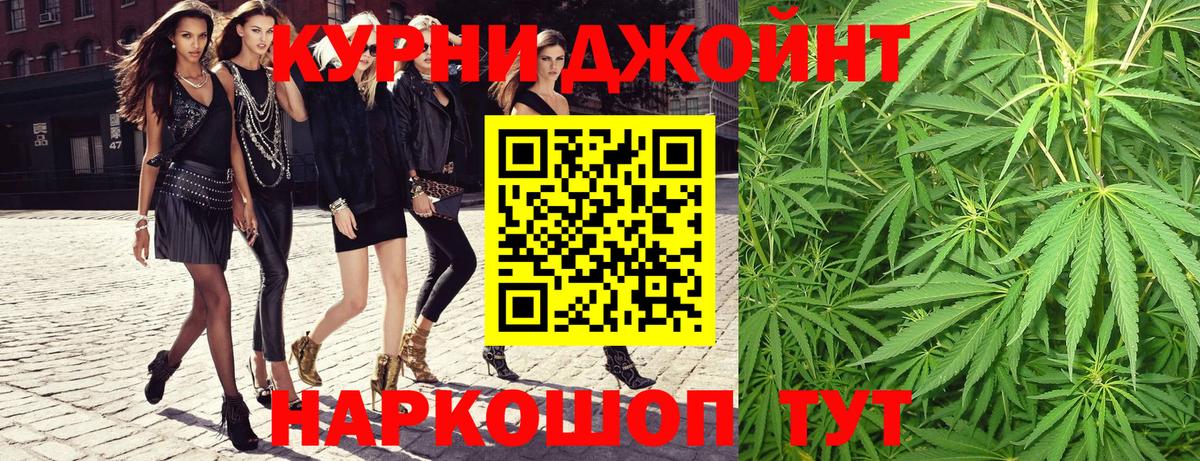 Каннабис планчик Канаш